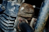 Filename=valvecover2.jpg
Filesize=1976KiB
Dimensions=3039x2014
Date added=Feb 07, 2011 valvecover2.jpg