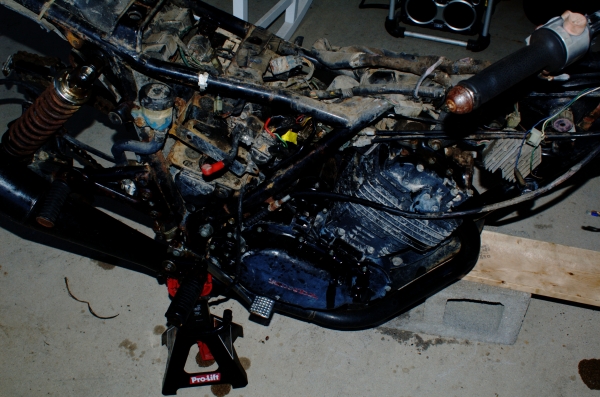 DSC_0059.jpg