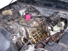 Filename=100_1866.jpg
Filesize=1379KiB
Dimensions=2576x1932
Date added=Feb 23, 2007 100_1866.jpg