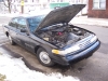 Filename=100_1870.jpg
Filesize=1134KiB
Dimensions=2576x1932
Date added=Feb 23, 2007 100_1870.jpg