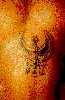 Filename=ben.gif
Filesize=60KiB
Dimensions=252x382
Date added=May 24, 2006 ben.gif