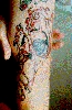 Filename=eric.gif
Filesize=66KiB
Dimensions=252x382
Date added=May 24, 2006 eric.gif