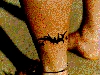 Filename=mindy4.gif
Filesize=48KiB
Dimensions=331x251
Date added=May 24, 2006 mindy4.gif