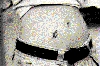 Filename=molly.gif
Filesize=47KiB
Dimensions=431x286
Date added=May 24, 2006 molly.gif