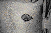 Filename=timnip.gif
Filesize=43KiB
Dimensions=429x286
Date added=May 24, 2006 timnip.gif