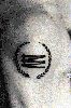 Filename=tobyarm2.gif
Filesize=44KiB
Dimensions=281x422
Date added=May 24, 2006 tobyarm2.gif